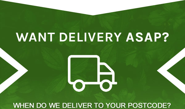 WANT DELIVERY ASAP?