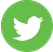 Twitter  Icon