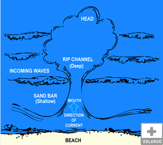 How to Identify a Rip Diagram