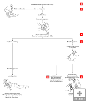 Resuscitation Flowchart Diagram