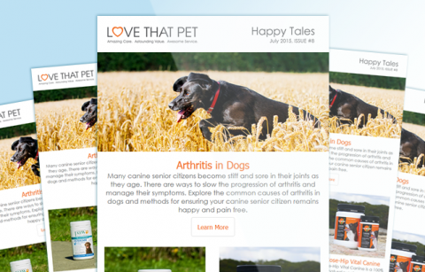 Love That Pet – MailChimp Template