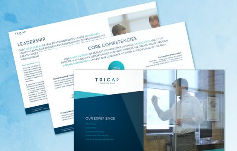 Tricap – Corporate Overview – PowerPoint Presentation
