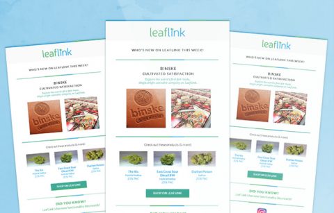 Leaflink eStore Newsletter – MailChimp Template