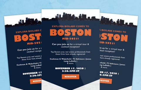 Boston – MailChimp Template