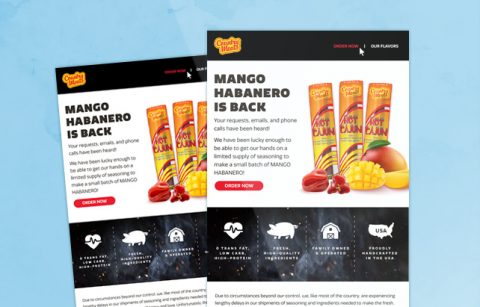 MailChimp Template – Country Meats