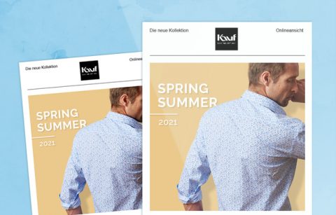 MailChimp Template – Kauf